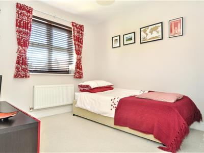 Picture 16